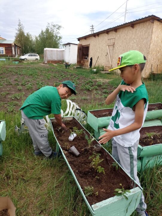 Изображение WhatsApp 2025-06-25 в 23.04.51_bcf52f05