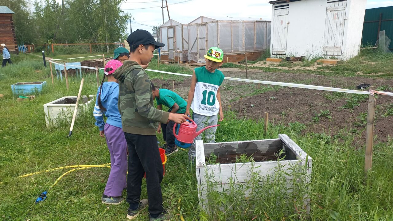 Изображение WhatsApp 2025-06-26 в 00.06.47_c2a5e662