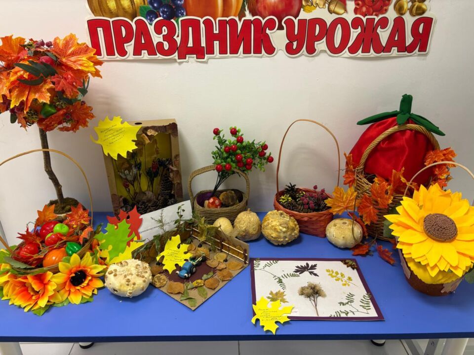 Изображение WhatsApp 2025-09-30 в 15.31.41_35b07442